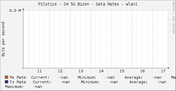 Piletice - S4 5G Bizon - Data Rates - |query_ifName|