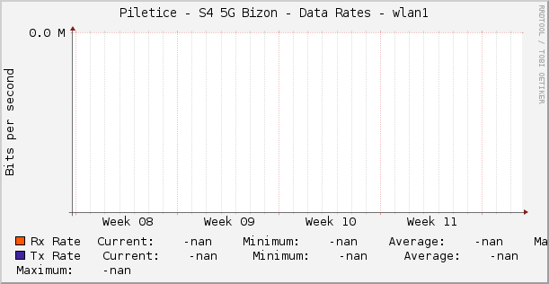 Piletice - S4 5G Bizon - Data Rates - |query_ifName|