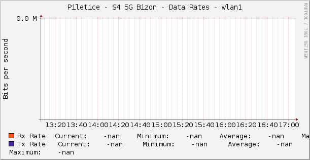 Piletice - S4 5G Bizon - Data Rates - |query_ifName|