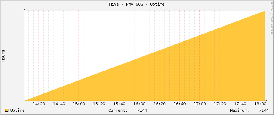Hive - Pmv 60G - Uptime