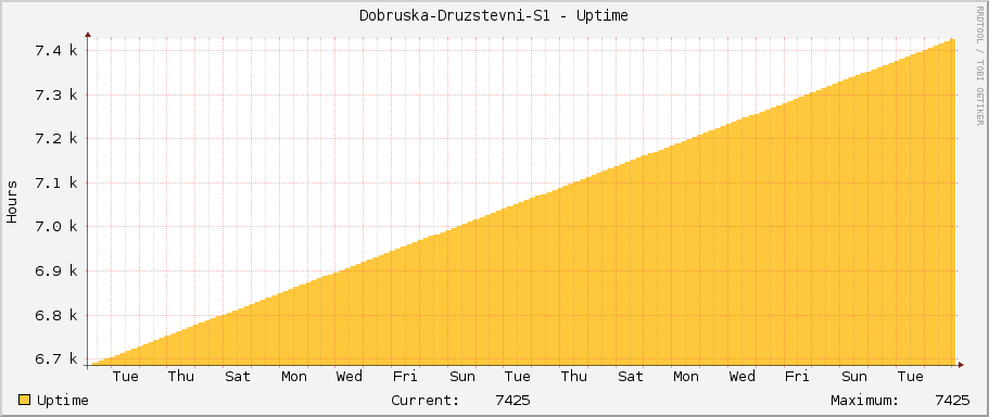 Dobruska-Druzstevni-S1 - Uptime
